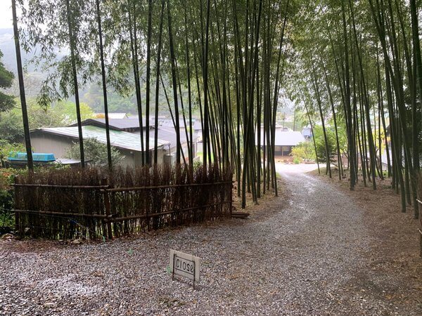竹林のカフェ・山乃庄 1 IMG 7850 1