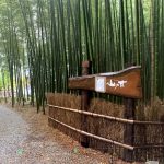 IMG 7849 1